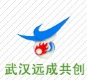 武漢遠成共創科技有限公司